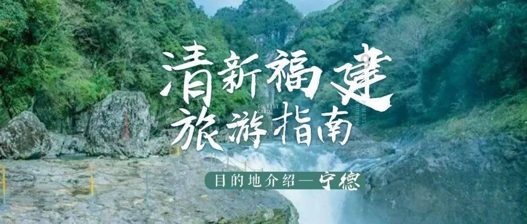 红木家具造型优美 雕画精心